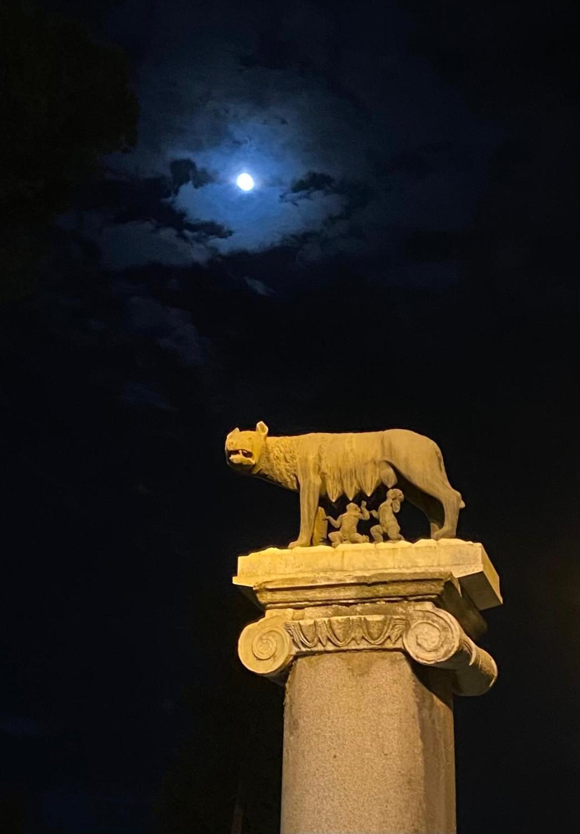 Domus Art Suites Merulana Rome Bagian luar foto